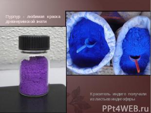 Пурпур - любимая краска древнеримской знати Пурпур - любимая краска древнеримско
