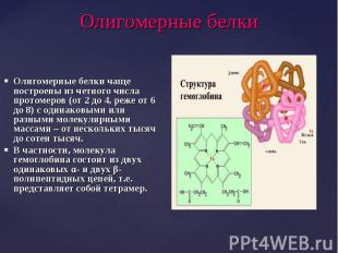 Олигомерные белки чаще построены из четного числа протомеров (от 2 до 4, реже от