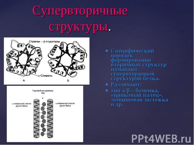 Специфический порядок формирования вторичных структур называют супервторичной структурой белка. Специфический порядок формирования вторичных структур называют супервторичной структурой белка. Различают: тип a/β – бочонка, «цинковый палец», лейцинова…