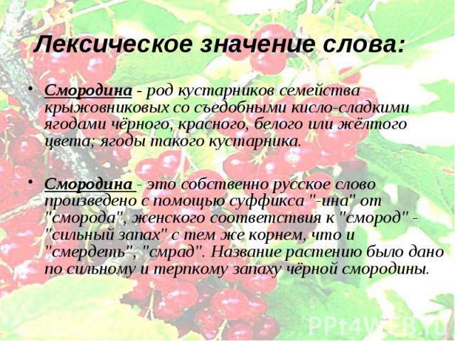 Лексическое значение слова: Смородина - род кустарников семейства крыжовниковых со съедобными кисло-сладкими ягодами чёрного, красного, белого или жёлтого цвета; ягоды такого кустарника. Смородина - это собственно русское слово произведено с помощью…