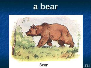 a bear