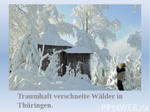 Traumhaft verschneite Wälder in Thüringen.