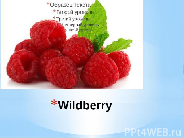 Wildberry