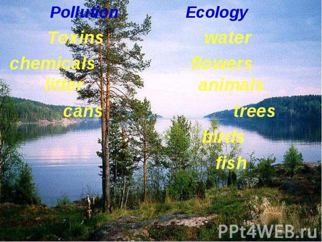 Pollution Ecology Pollution Ecology Toxins water chemicals flowers litter animals cans trees birds fish