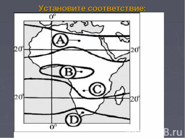 Установите соответствие: