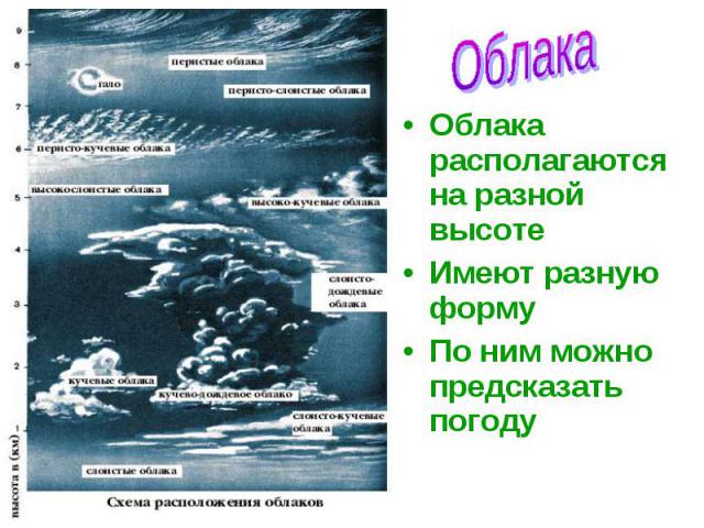 Облака располагаются на разной высоте Облака располагаются на разной высоте Имеют разную форму По ним можно предсказать погоду