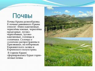 Почвы Крыма разнообразны. К почвам равнинного Крыма относят: тёмно-каштановые, ч