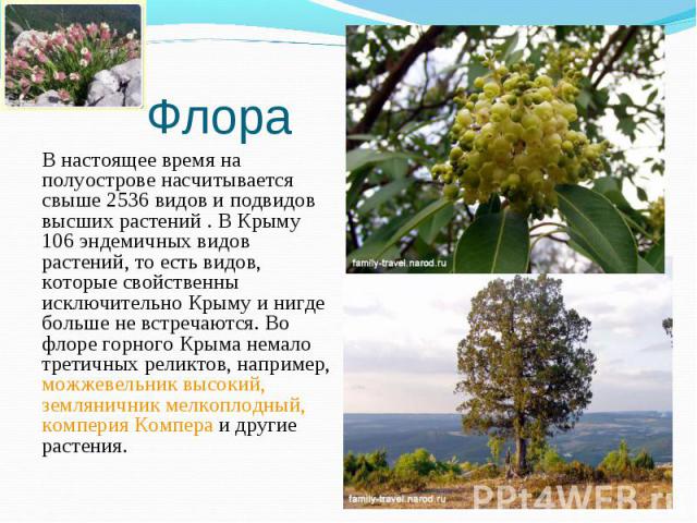 В настоящее время на полуострове насчитывается свыше 2536 видов и подвидов высших растений . В Крыму 106 эндемичных видов растений, то есть видов, которые свойственны исключительно Крыму и нигде больше не встречаются. Во флоре горного Крыма немало т…