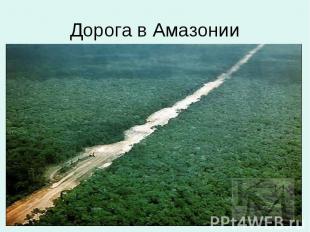 Дорога в Амазонии