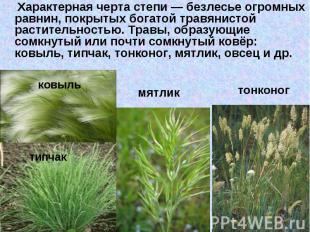 Характерная черта степи&nbsp;— безлесье огромных равнин, покрытых богатой травян