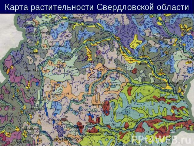 Карта растительности Свердловской области