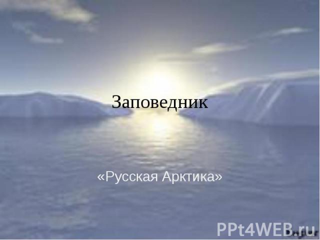 Заповедник «Русская Арктика»