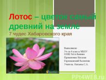 Лотос – цветок самый древний на земле7 чудес Хабаровского края