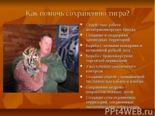 Как помочь сохранению тигра? Содействие работе антибраконьерских бригад Создание