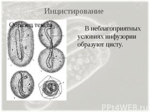 Инцистирование