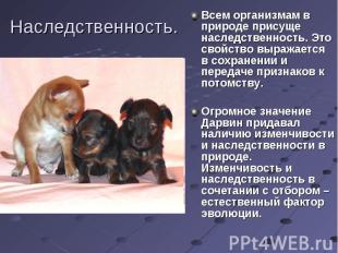 Всем организмам в природе присуще наследственность. Это свойство выражается в со