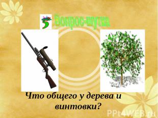 Что общего у дерева и винтовки? Что общего у дерева и винтовки?