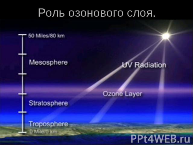 Роль озонового слоя.