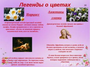 Легенды о цветах Нарцисс
