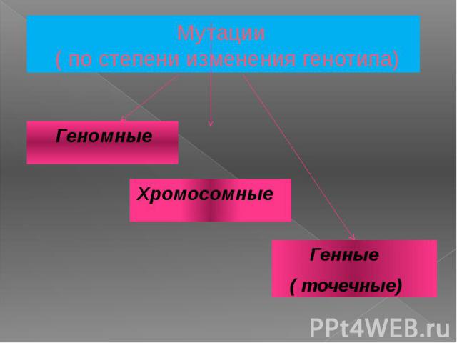 Мутации ( по степени изменения генотипа) Генные ( точечные)