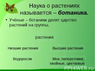 Учёные – ботаники делят царство растений на группы. Учёные – ботаники делят царс