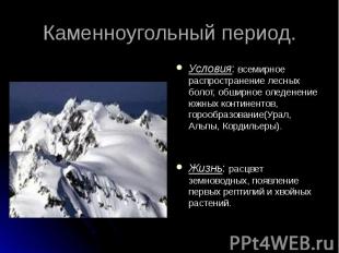 Условия: всемирное распространение лесных болот, обширное оледенение южных конти