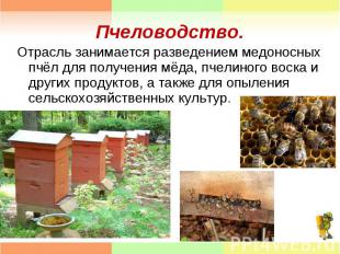 Отрасль занимается разведением медоносных пчёл для получения мёда, пчелиного вос