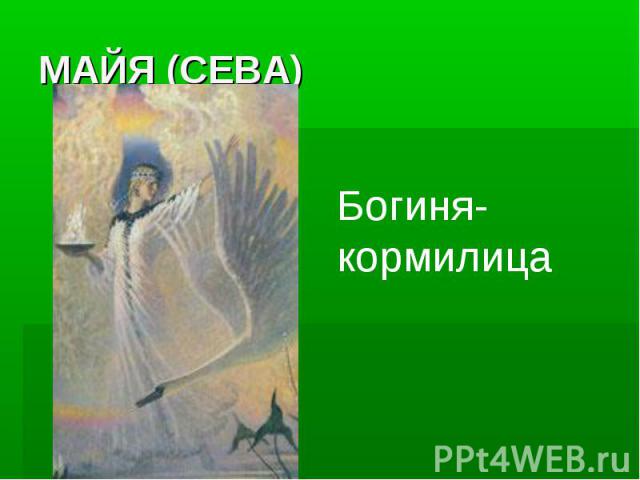 МАЙЯ (СЕВА)