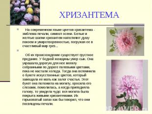 ХРИЗАНТЕМА На современном языке цветов хризантема - эмблема печали, символ осени