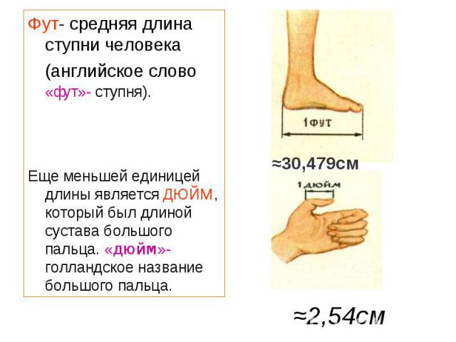 Фут- средняя длина ступни человека (английское слово «фут»- ступня). Фут- средняя длина ступни человека (английское слово «фут»- ступня). Еще меньшей единицей длины является ДЮЙМ, который был длиной сустава большого пальца. «дюйм»- голландское назва…