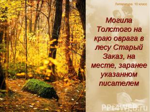 Могила Толстого на краю оврага в лесу Старый Заказ, на месте, заранее указанном