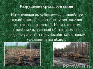 Разрушение среды обитания Интенсивная вырубка лесов — наиболее яркий пример косв