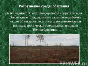Разрушение среды обитания За последние 100 лет площадь лесов сократилась на Земл