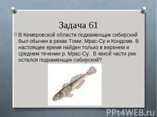 В Кемеровской области подкаменщик сибирский был обычен в реках Томи, Мрас-Су и К