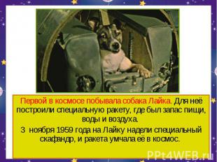 Первой в космосе побывала собака Лайка. Для неё построили специальную ракету, гд
