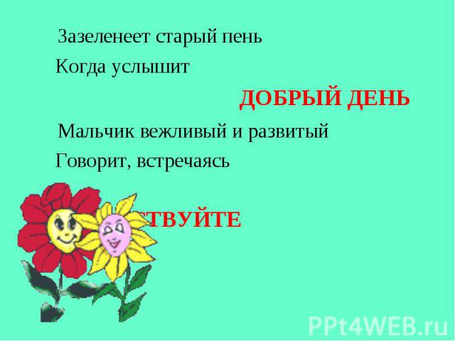 Зазеленеет старый пень Зазеленеет старый пень Когда услышит ДОБРЫЙ ДЕНЬ Мальчик вежливый и развитый Говорит, встречаясь ЗДРАВСТВУЙТЕ