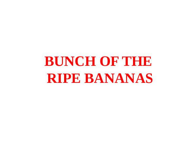 BUNCH OF THE RIPE BANANAS