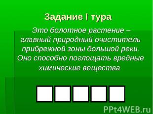 Это болотное растение – главный природный очиститель прибрежной зоны большой рек