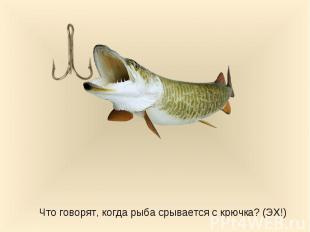 Что говорят, когда рыба срывается с крючка? (ЭХ!)