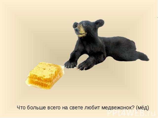 Что больше всего на свете любит медвежонок? (мёд)