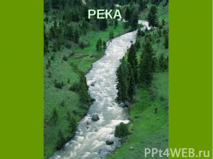 РЕКА