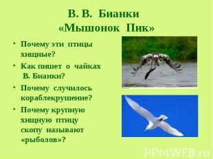 В. В. Бианки «Мышонок Пик» Почему эти птицы хищные? Как пишет о чайках В. Бианки