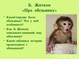 Б. Житков «Про обезьянку» Какой породы была обезьянка? Что у ней особенного? Как