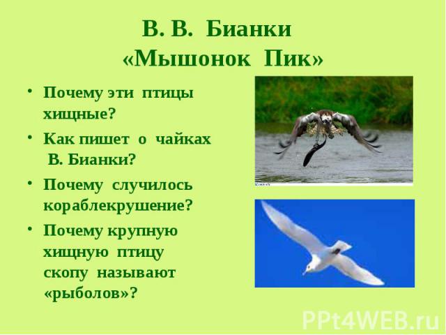 В. В. Бианки «Мышонок Пик» Почему эти птицы хищные? Как пишет о чайках В. Бианки? Почему случилось кораблекрушение? Почему крупную хищную птицу скопу называют «рыболов»?