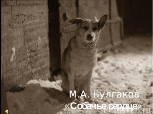 М.А. Булгаков «Собачье сердце»