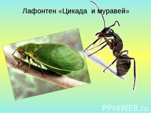 Лафонтен «Цикада и муравей»