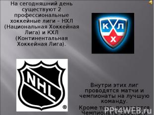 На сегодняшний день существуют 2 профессиональные хоккейные лиги – НХЛ (Национал