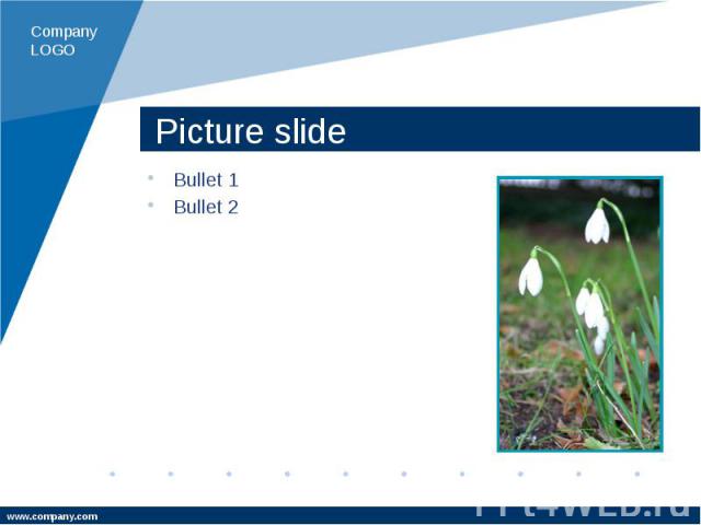 Picture slide Bullet 1 Bullet 2