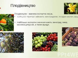 Плодівництво 4,9% усієї території займають: виноградники, посадки маслин, фрукто