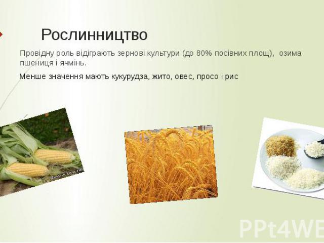 Рослинництво Провідну роль відіграють зернові культури (до 80% посівних площ), озима пшениця і ячмінь.
